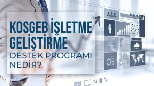 İşletme Geliştirme, Büyüme ve Uluslararasılaşma Destekleri